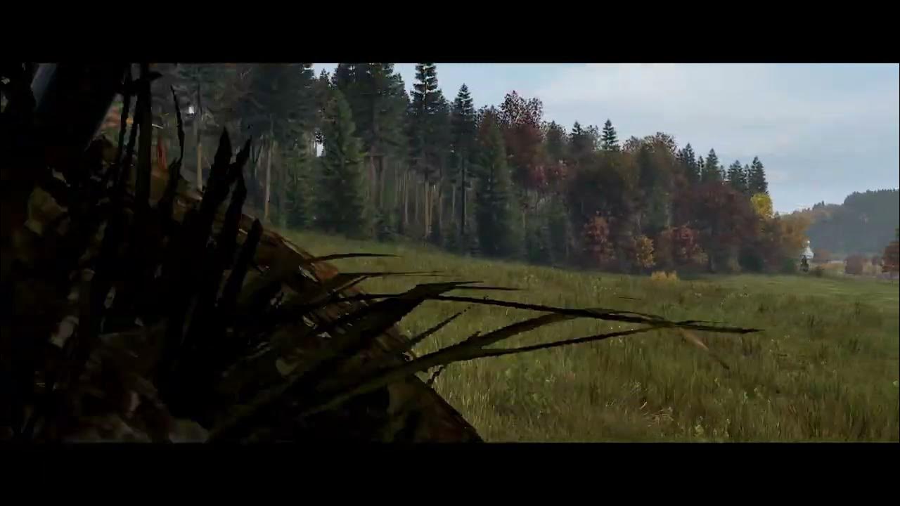 DayZ Mushrooms give you out! (Spaggie's Servers) YouTube