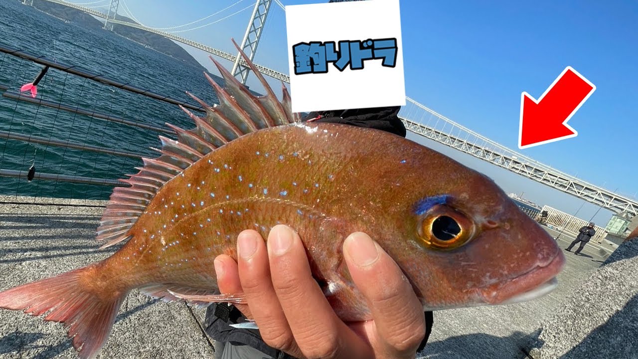 Я обучал Цуридору-сан ловле рыбы на большие расстояния с помощью корзины в Azure Maiko, и это был...