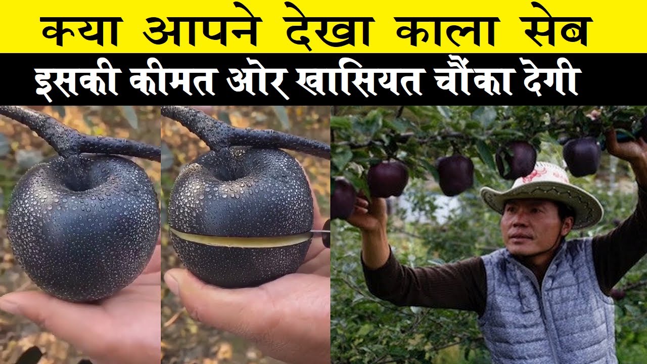 क्या आपने देखा है काला सेब, कीमत जानकर हिल जाओगे Black Diamond Apple