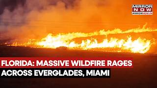 Florida Wildfire: Massive Blazes Devastates As 5,000 Acres Across Everglades, Miami | Watch