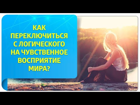 Как переключиться с логического на чувственное восприятие мира?