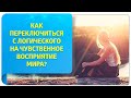 Как переключиться с логического на чувственное восприятие мира?