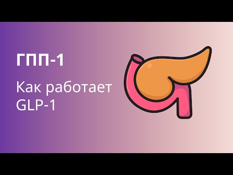 Как работает ГПП-1 в организме. Механизм действия агонистов ГПП-1. Фармакология сахарного диабета.