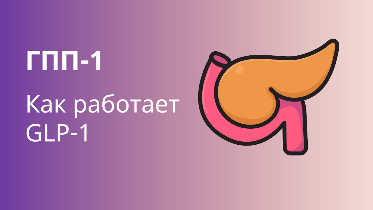 Как работает ГПП-1 в организме. Механизм действия агонистов ГПП-1 ...