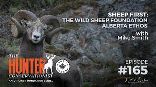Sheep First: The Wild Sheep Foundation Alberta Ethos || Ep. 165