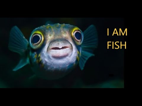 who made i am fish