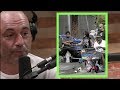 Joe Rogan | What is Going on with the Homeless in LA?