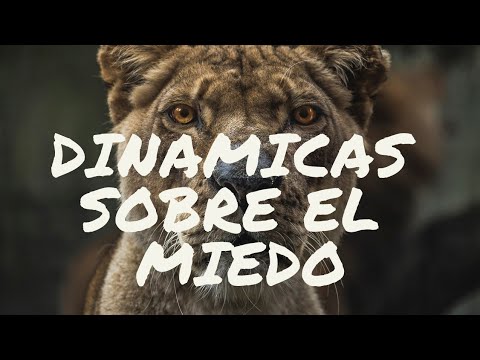 Video: Dinámica De La Edad De Los Miedos