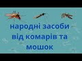 БАГАТО ХТО І НЕ ЗНАЮТЬ,ЩО КОМАРІВ ТА МОШОК МОЖНА ПОЗБУТИСЯ ТАК ПРОСТО.