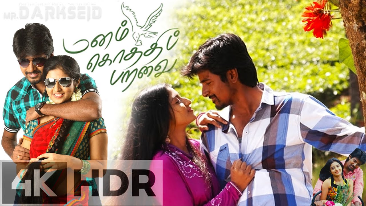 Enna Solla Yethu Solla  Manam Kothi Paravai  4K video song  Sivakarthikeyan  Athmiya  D Imman