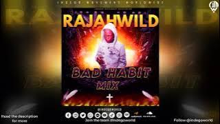 Rajah Wild - Bad Habit Dancehall Mix | 2023 | 2024  Dancehall | Jamaica