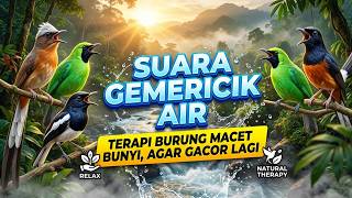 Suara Air Buat Terapi Burung Agar Gacor Setiap Hari dan Tidak Mudah Macet