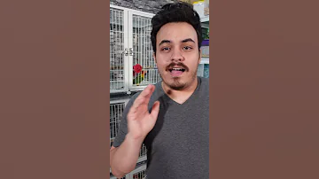 مضاد حيوي طبيعي للطيور يحميهم من الامراض ويرفع المناعه 