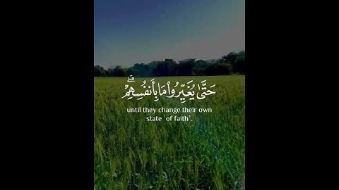 أرح سمعك 🌹القارئ: طارق محمد 🍃