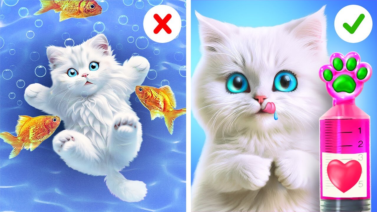 Cuide do seu gatinho ❤️😊 Hacks and Cat's Makeover by Coolala