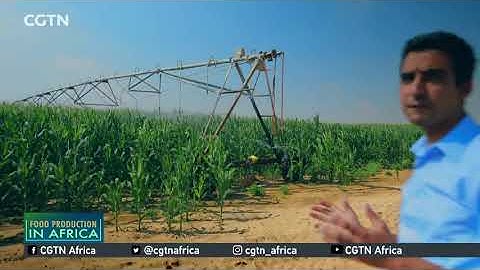 FOOD IN AFRICA: Egypt moves to develop irrigation systems to save water, boost productivity