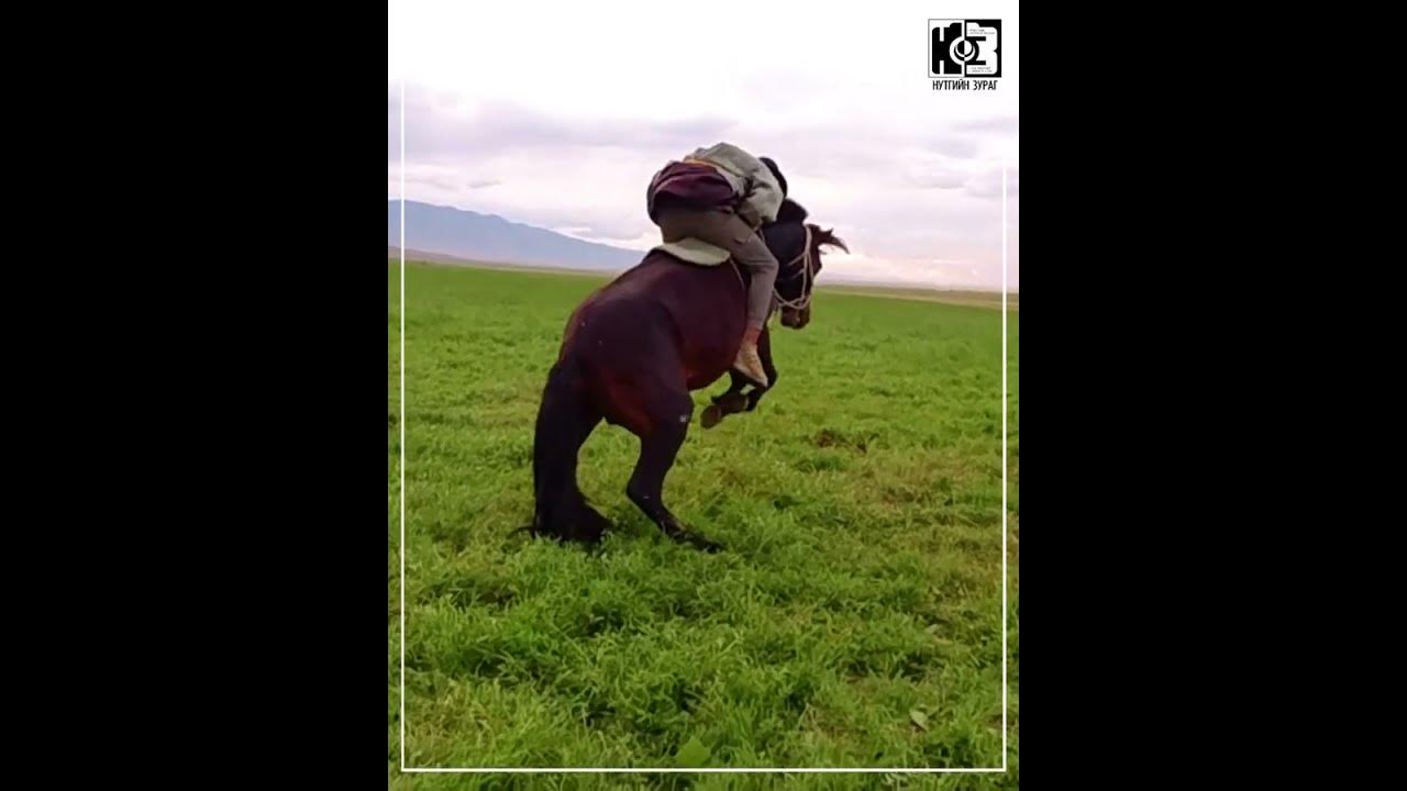 Эмнэг сургагч - YouTube