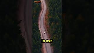 Not Every Question Needs an Answer #shorts  #motivation #motivationalquotes #selfimprovement