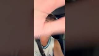 San Valentín Viene Con Este Tema