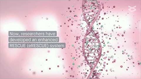 eRESCUE: A PspCas13b-based enhanced RESCUE system with efficient RNA base editing