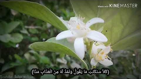 أواخر سورة مريم | القارئ عبد الرحمن مسعد | أرح قلبك