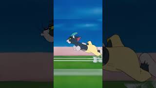 En-Garde kotku! | Tom i Jerry | Cartoon Network #shorty