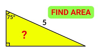 2 Methods to Find the Area of the triangle | Asked in USA Grade 8 Exam
