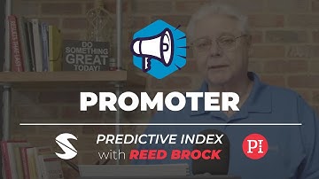The Promoter - PI Reference Profile