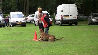 vd Montferhoeve Jochie certification PH1 sunday 3 july  2011