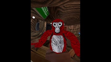 DAY 1 of Joining My Fan Code… | #gorillatag