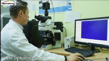 Petr Masliukov fluorescence filter set FITC DAPI