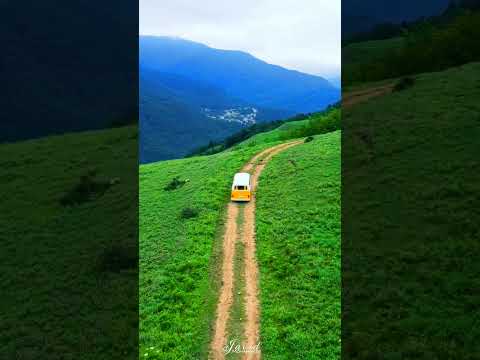 طبیعت زیبای جنگل شهر آمل  طبیعت شمال ایران شمالگردی