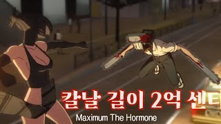         2 2  Maximum The Hormone 