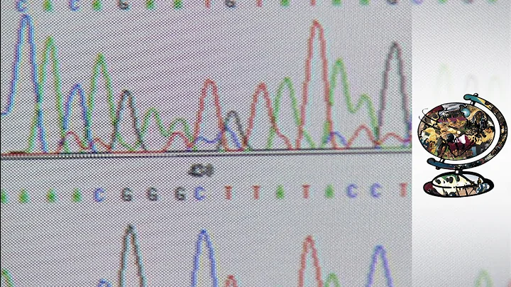 The Historic Race to Decode the Human Genome (2000)