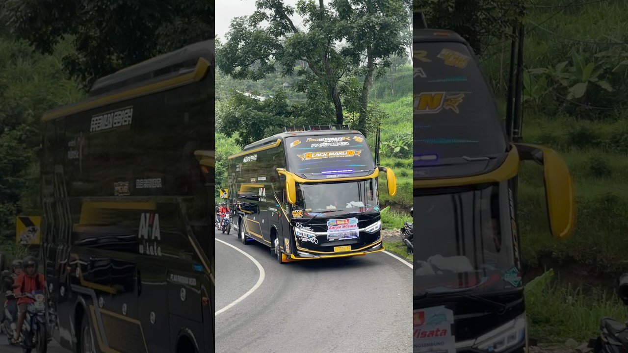 Aka wisata Black marlin 