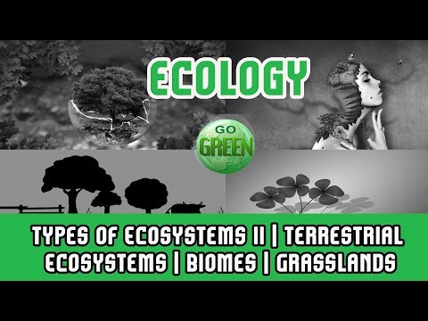 types of ecosystems