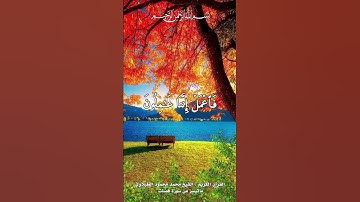 #قران_كريم #قرآن #قران #quran #allah #تلاوة_خاشعة #راحة_نفسية #الرحمن #اكسبلور #المصحف