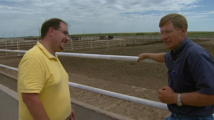 The Effects of Feeding Distillers Grains to Cattle