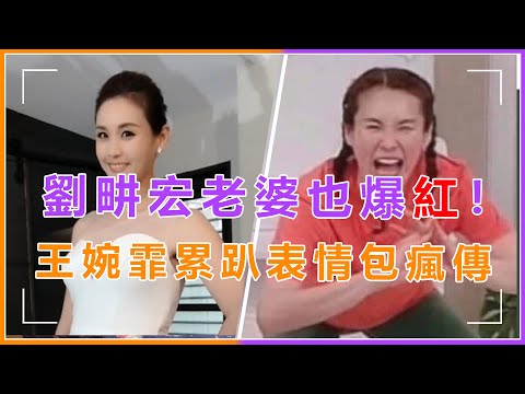 劉畊宏老婆也爆紅！王婉霏健身累趴表情包瘋傳，網友：打死不當劉畊宏老婆#劉畊宏#老婆#王婉霏#健身