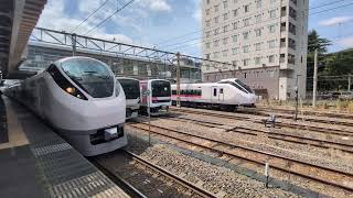 JR東日本 E657系(水カツ) K9 特急「ひたち5号」 5M 勝田駅発車 ※2026年4月撮影