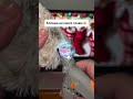 Светящиеся кусачки ♥️ артикул на Яндекс маркет: YM10194364 (не забудь в поиске вписать YM)