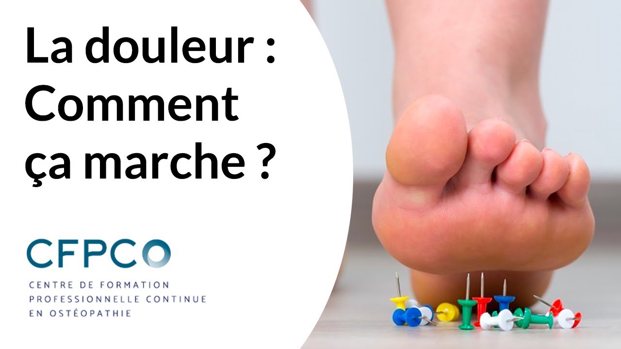 La douleur : comment ça marche ?