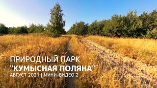 Конец лета в лесопарке Кумысная поляна. Август 2021. Саратов. Видео 2