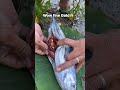 🐟 Gold Bar Found Inside a Fish? 😱 | Unbelievable Fishing Discovery 💰