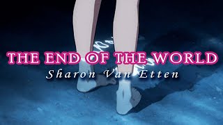 The End Of The World - Sharon Van Etten - Resimi