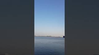 Vay Babam Vay Levrek Avim Ve Salim Resimi