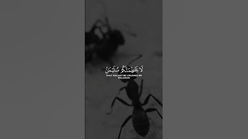 أرح سمعك 🥀القارئ: أحمد العجمي 🍃