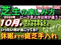10月の芝生の手入れと動画紹介「芝生の楽しみ方」10月号 芝活2020