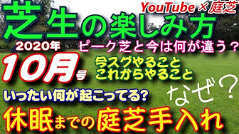 秋から冬の芝生の手入れ 芝活 19 Youtube