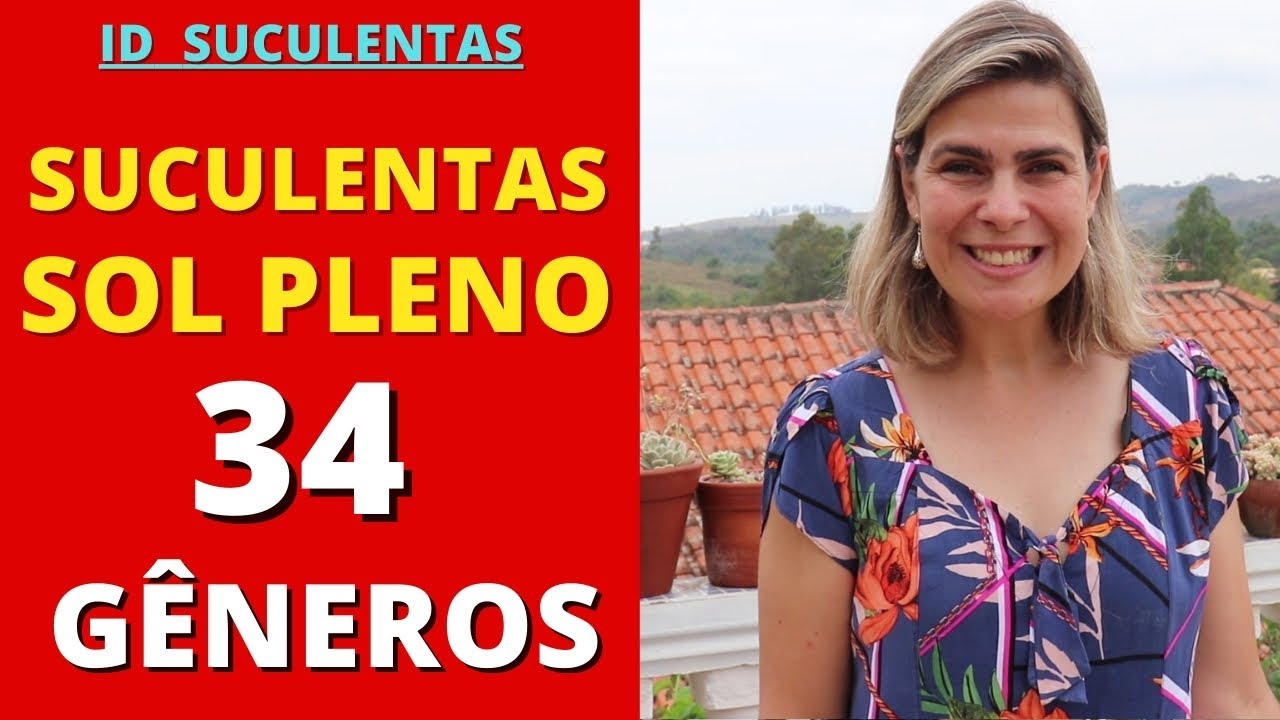 SUCULENTAS:  34 Gêneros para Cultivar com pelo menos 4 HORAS DE SOL /Grazi Bittencourt